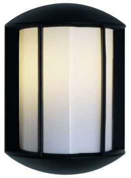 A Modern Style Outdoor Wall Light with a Black Finish ID   Large View