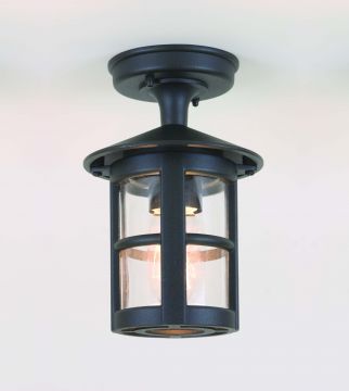 Black Flush Mounted Outdoor Ceiling Light with Clear Glass ID Large View