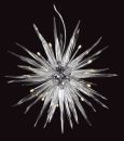 A Stunning Moulded Clear Glass Ceiling Light - DISCONTINUED