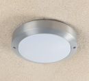 Low Energy, Outdoor, Flush Ceiling or Wall Light -  DISCONTINUED