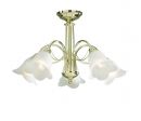 Polished Brass 5 Light complete with Glass ID