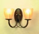 Traditional Double Wall Light finished in Black Gold ID