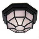 Outdoor Flush Ceiling Light in Black with White Frosted Glass ID