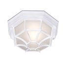 Outdoor Flush Ceiling Light in White with Frosted Glass ID