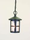 Black Traditional Outdoor Ceiling Pendant with Clear Glass ID